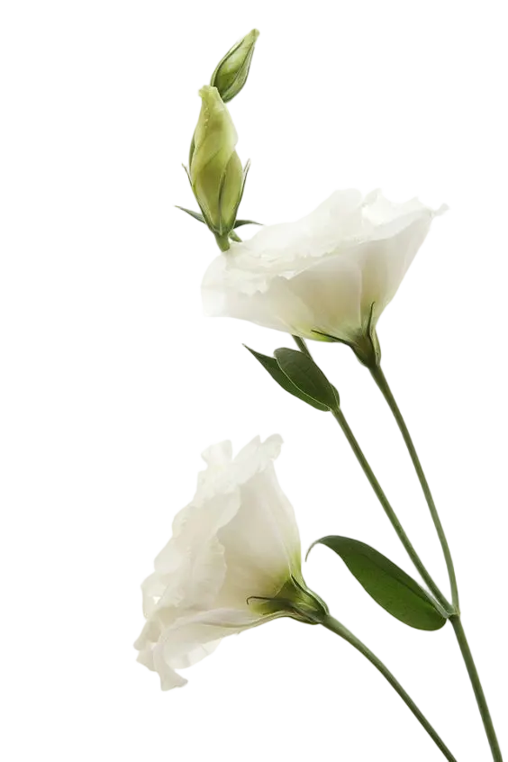 775c17d0 c14e 11f1 92d7 7db23b8dcc6f