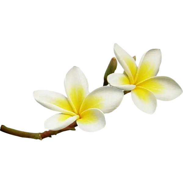 86586e80 b192 11f1 aa67 37552bf50c58