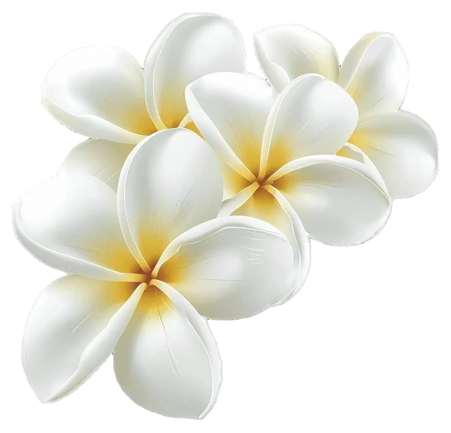 c72db870 b7d7 11f1 b7ce 0fab9001c2d3