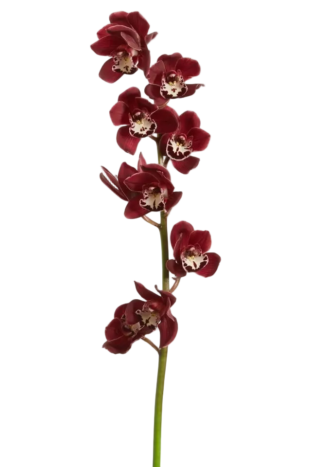 f0c2e2a0 962b 11f1 a0db 1f0d37835e3f